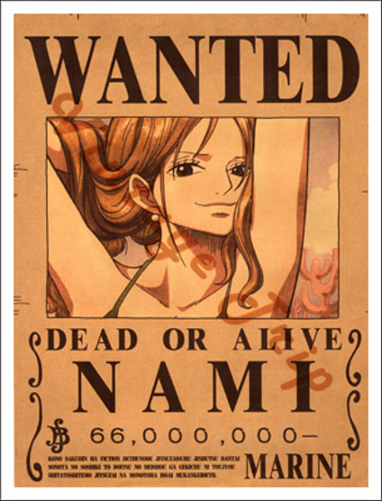 One Piece-Nami Poster