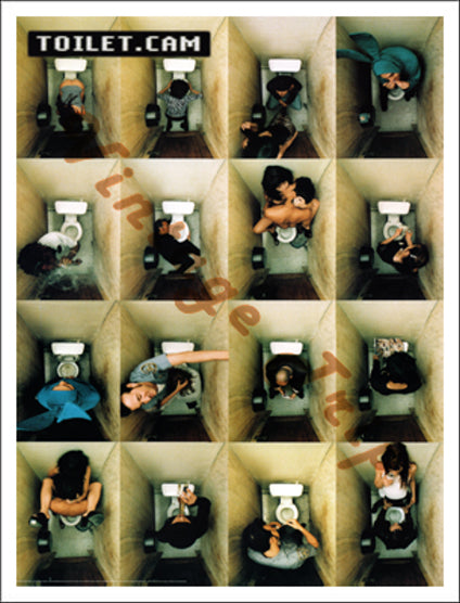 Toilet Cam Poster